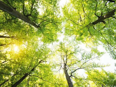 Airnov to exhibit sustainable solutions at upcoming CPhI Worldwide expo in Milan