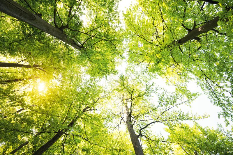 Airnov to exhibit sustainable solutions at upcoming CPhI Worldwide expo in Milan