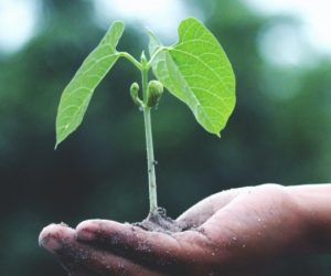 Albéa commits to reduce its absolute carbon emissions by 46% by 2030.