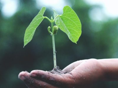 Albéa commits to reduce its absolute carbon emissions by 46% by 2030.