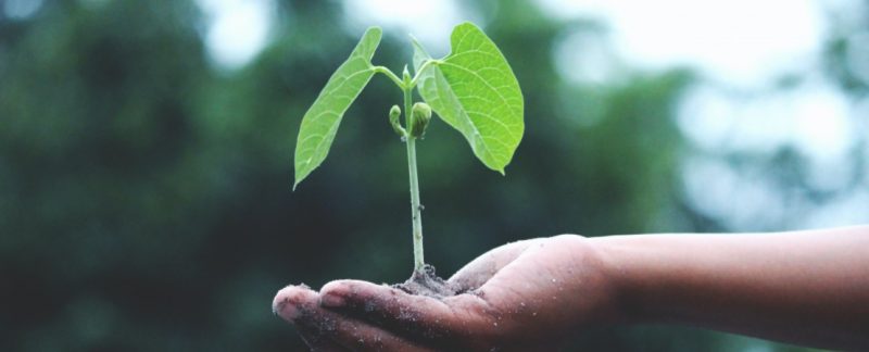 Albéa commits to reduce its absolute carbon emissions by 46% by 2030.