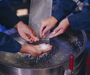 ZERO PELLET LOSS CERTIFICATION SCHEME PILOTED AT BOREALIS PRODUCTION LOCATIONS