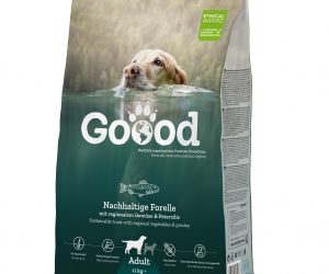 Mondi honoured with Hungaropack award for sustainable paper-based FlexiBag