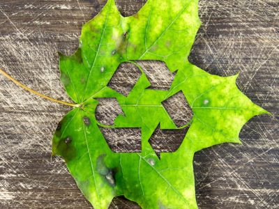 Record collection of glass containers for recycling hits 78% in the EU