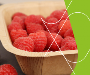 Westpak Deliver A Manufacturing Breakthrough In Packaging Sustainability