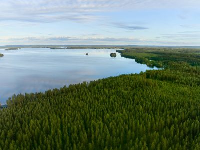 Metsä Board gains a triple CDP ‘A’ score for environmental leadership