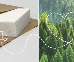 Stora Enso introduces portfolio for bio-based packaging foam