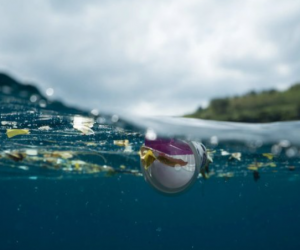 Could switching to rPET help save our oceans?