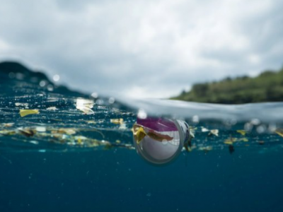 Could switching to rPET help save our oceans?