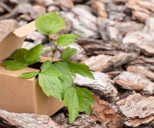 Teknos participates in a large research project to develop bio-based binders and coatings