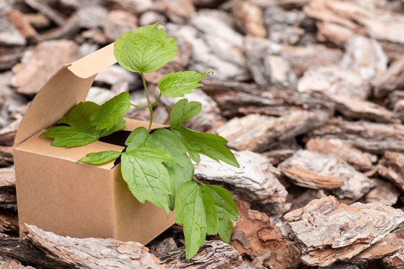 Teknos participates in a large research project to develop bio-based binders and coatings