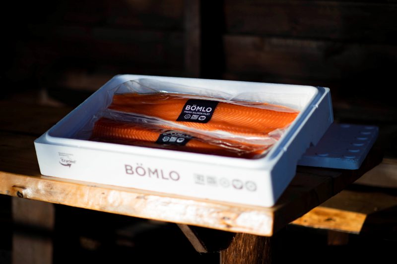 Fresh salmon packed with Styropor® Ccycled™