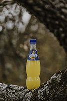 Suntory’s new plant-based bottle takes beverages industry closer to holy grail of bioplastics, says GlobalData