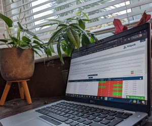 Valpak passes the million-mark milestone through new Product Data Hub reporting