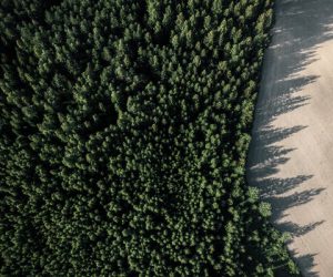 The Carbon Trust has certified the carbon footprint of UPM Raflatac’s Linerless products