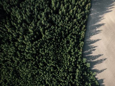 The Carbon Trust has certified the carbon footprint of UPM Raflatac’s Linerless products