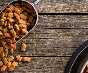 The best pet food solution requires the right expertise
