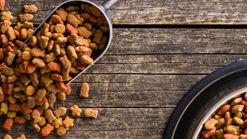 The best pet food solution requires the right expertise