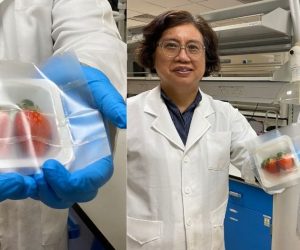 NTU & Harvard scientists develop biodegradable food packaging that can keep strawberries fresh for a longer period