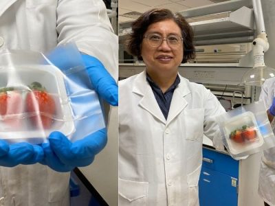 NTU & Harvard scientists develop biodegradable food packaging that can keep strawberries fresh for a longer period
