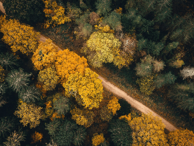 The Earthshot Prize 2022 begins search for world’s most ‘extraordinary eco-solutions’
