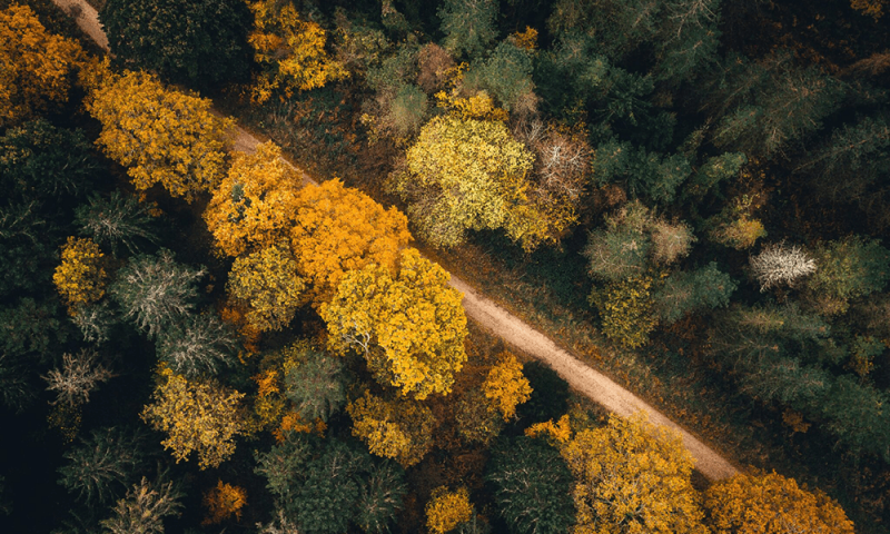 The Earthshot Prize 2022 begins search for world’s most ‘extraordinary eco-solutions’