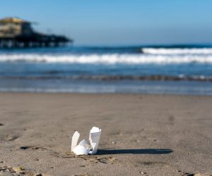 U.S. Plastics Pact Brings Together Leading Brands and Materials Manufacturers to Seek Solutions to “Problematic and Unnecessary” Materials