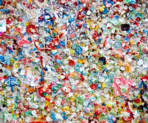 IHC launches Rebound Plastic Exchange to facilitate global trade of recycled plastic