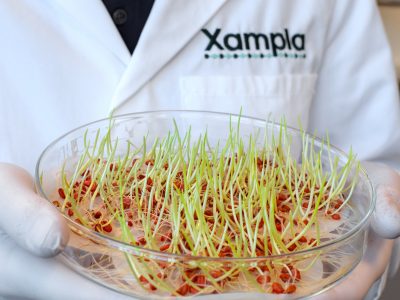 Xampla partners with Croda in UK government-backed trial of microplastic-free seed coatings