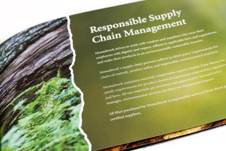 MONADNOCK PAPER MILLS RAISES LEVEL OF SUPPORT FOR SUSTAINABLE GREEN PRINTING PARTNERSHIP