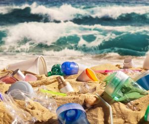 Plastic pollution is growing relentlessly as waste management and recycling fall short, says OECD