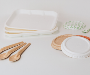 Solenis Joins as New Partner in PulPac’s Expanding Dry Molded Fiber Network