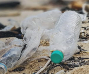 WRAP and World Economic Forum – Partner to Tackle Global Plastic Pollution together.