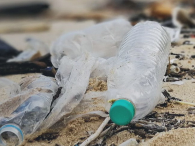 WRAP and World Economic Forum – Partner to Tackle Global Plastic Pollution together.
