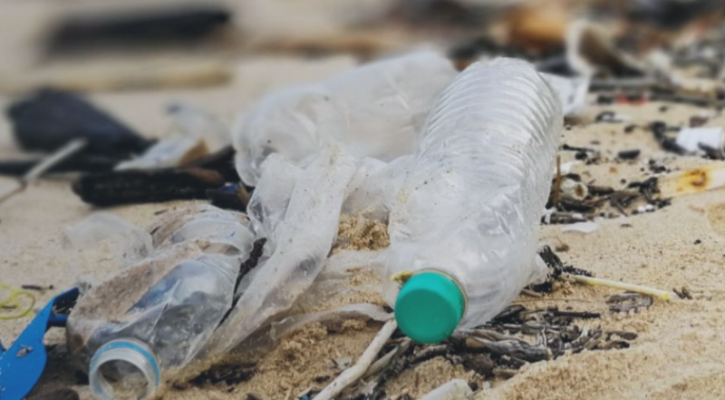 WRAP and World Economic Forum – Partner to Tackle Global Plastic Pollution together.