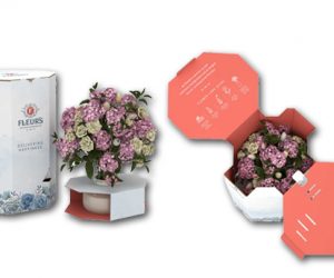 Smurfit Kappa’s eFlower portfolio helps eCommerce sales bloom