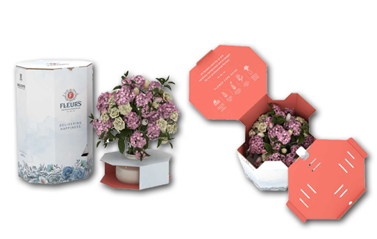 Smurfit Kappa’s eFlower portfolio helps eCommerce sales bloom
