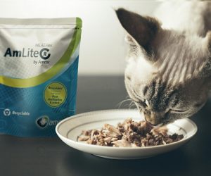 Amcor recognized with Packaging Innovation Award