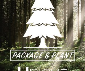 Unique Distinctions create packaging program, planting trees in conjunction with purchase of sustainable packaging