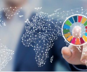 New framework helps companies make the right decisions to increase packaging sustainability