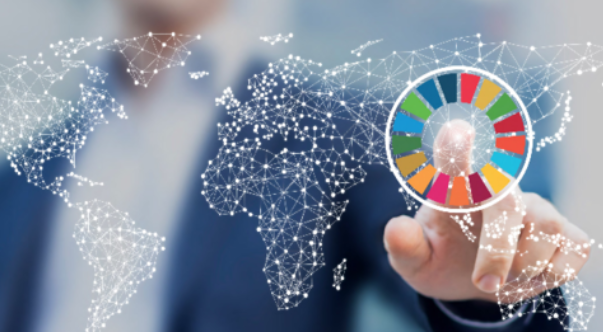 New framework helps companies make the right decisions to increase packaging sustainability