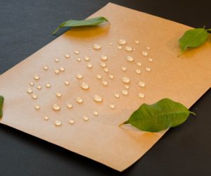 Smurfit Kappa opens up a new world of possibilities with water-resistant paper