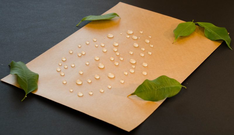 Smurfit Kappa opens up a new world of possibilities with water-resistant paper