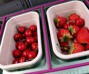 Proseal pioneers workable alternatives to plastic tray sealing