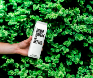 Six Tips for Sustainable Packaging & Shipping