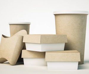 Could Finnish forest technology turn the tide of plastic packaging?