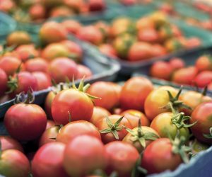 Is the economy threatening packaging sustainability?