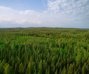 Metsä Board among the best of the best in EcoVadis 2022 rating