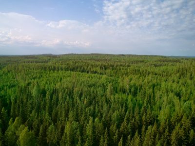 Metsä Board among the best of the best in EcoVadis 2022 rating