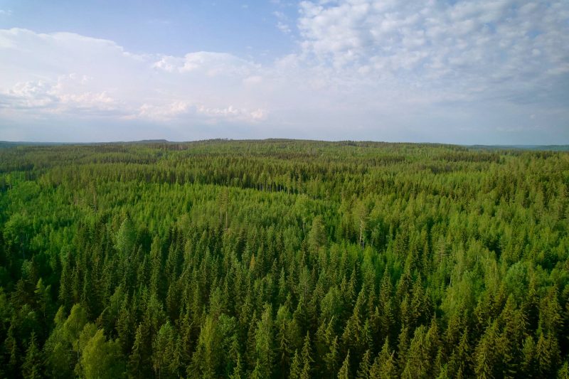 Metsä Board among the best of the best in EcoVadis 2022 rating
